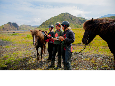 Riding with the Herd in Iceland 